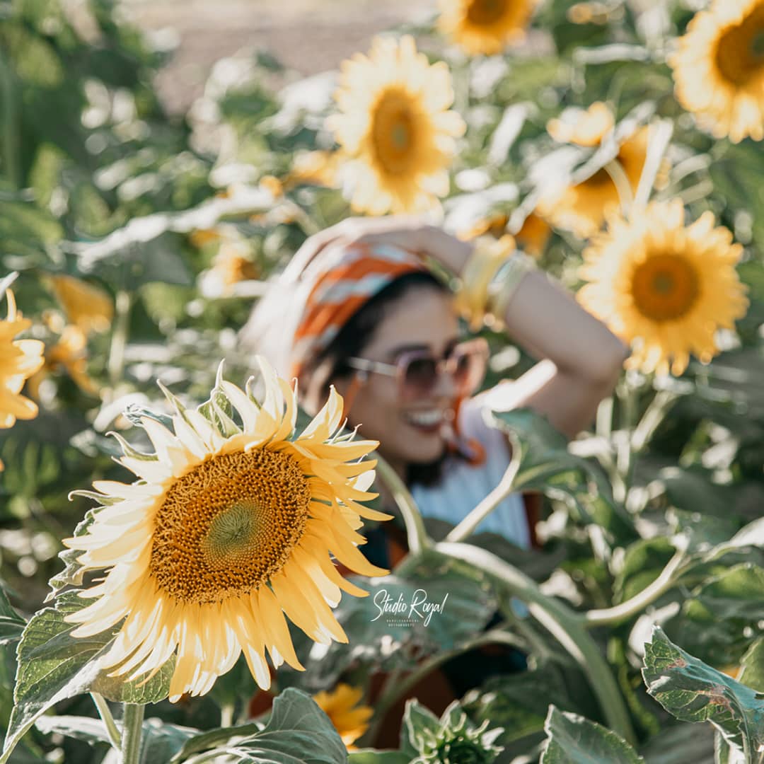 خدمات شماره2